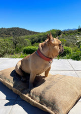 PANCHO’S DEN Dog BED
