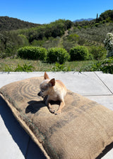 PANCHO’S DEN Dog BED