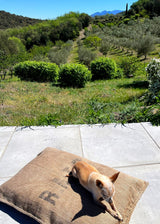 R.A.T.P DOG BED