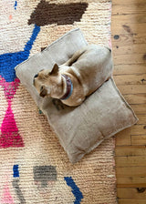 R.A.T.P DOG BED