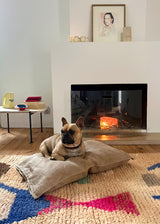 R.A.T.P DOG BED