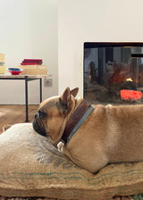 PANCHO’S DEN Dog BED