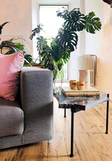 SLAB COCKTAIL TABLE BRAZILIAN STONE