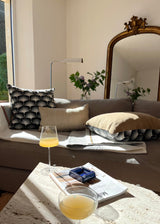 FLY HIGH JUTE AND ORGANIC PRINTED COTTON THROW PILLOWS SET OF 2