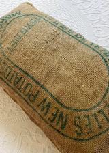 NOUVELLES PDT  THROW PILLOW