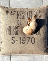 MESSAGES FROM PARIS KING SIZE PILLOW