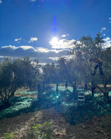 CHARLIE ORGANIC OLIVE OIL 2 BOTTLES