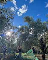 CHARLIE ORGANIC OLIVE OIL 2 BOTTLES