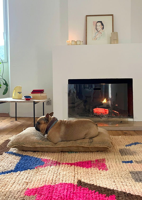 PANCHO’S DEN Dog BED