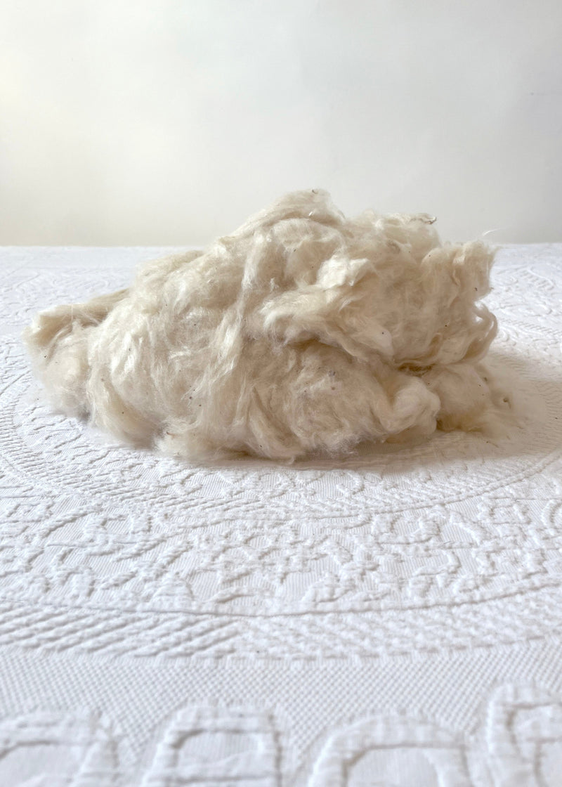 NOUVELLES PDT  THROW PILLOW